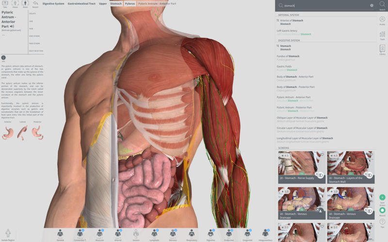 Anatomy app for mac free